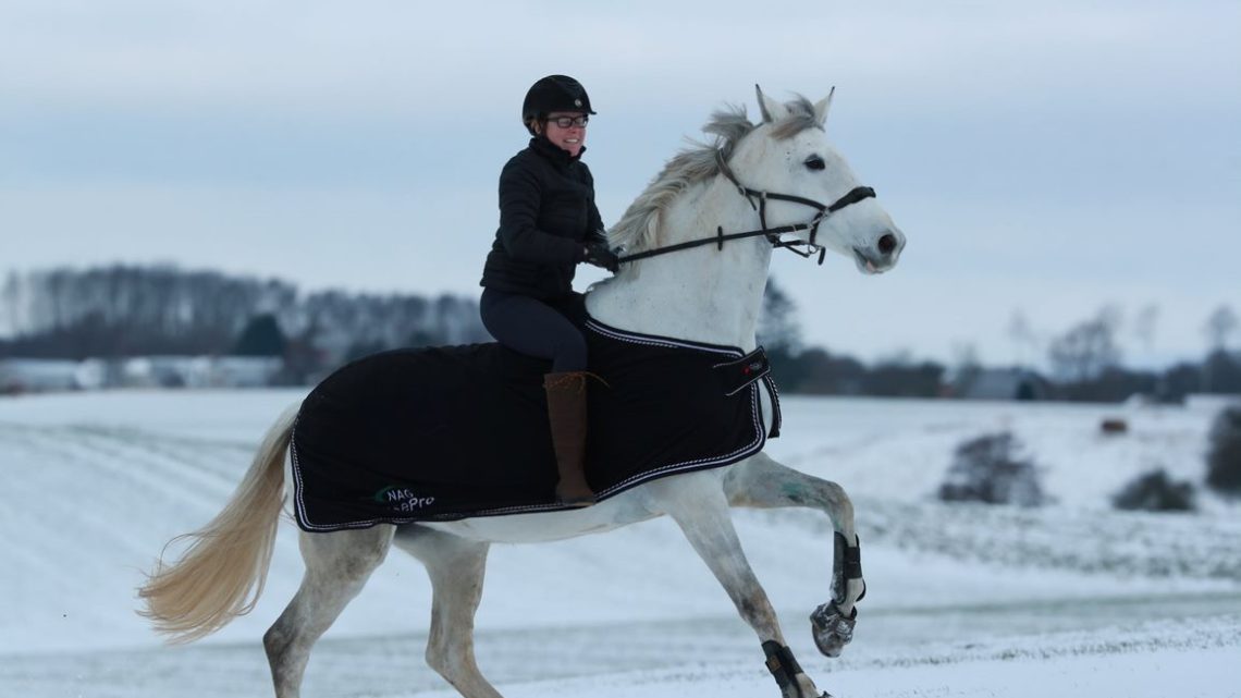 Er ridesporten uddøende?